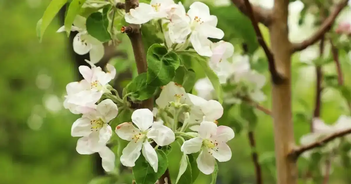 14 мамырда елімізде аптап ыстық болады