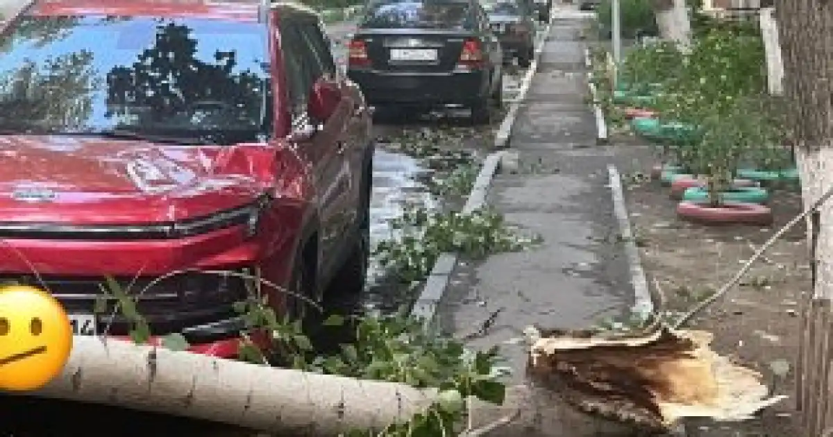 Павлодар облысында үш қала мен үш ауданда дауыл салдарынан төтенше жағдай жарияланды