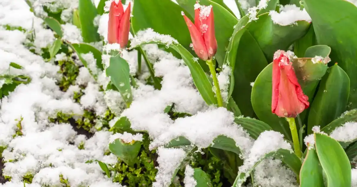 14-16 сәуірге ауа райы болжамы жарияланды