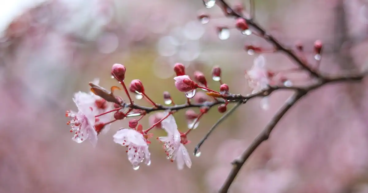 "-18 градусқа дейін суытады":  16–18 сәуірге ауа райы болжамы жарияланды