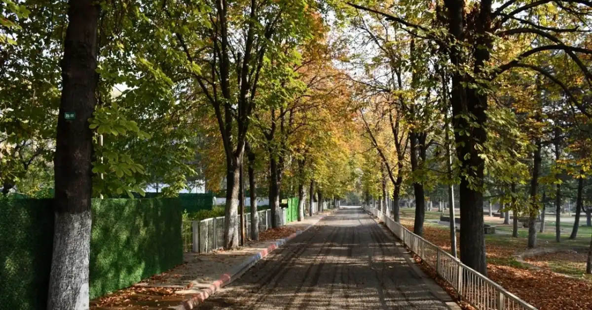 Демалыс күндері Қазақстанда 37 градусқа дейін ысиды