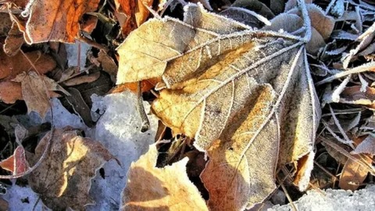 Жаңбыр мен үсік: 7 қазанда Қазақстанда ауа райы қандай болады?